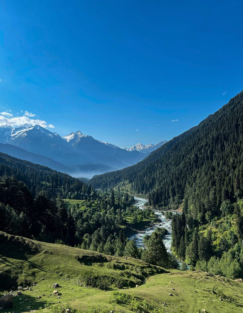 A forested valley opening towards distant mountains in Pahalgam.