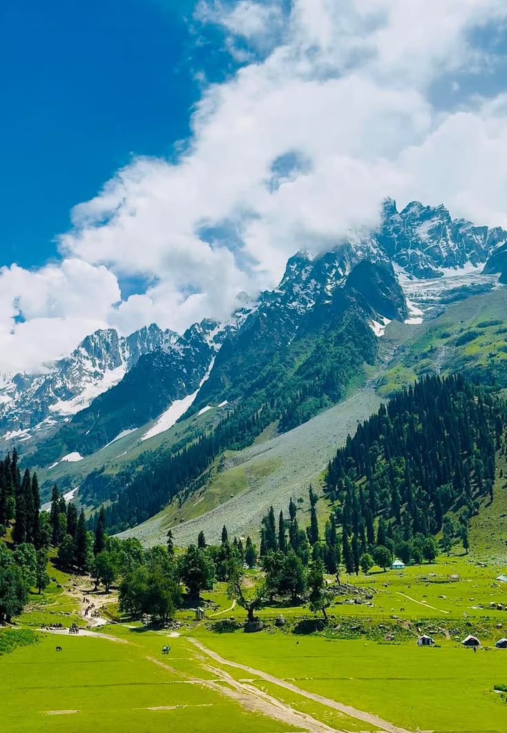 Green slopes and high peaks beneath a blue sky in Sonamarg.