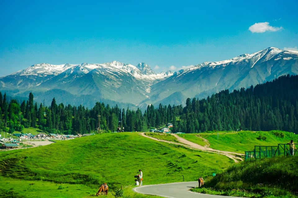 A green meadow and conifers below the mountain skyline in Sonamarg.