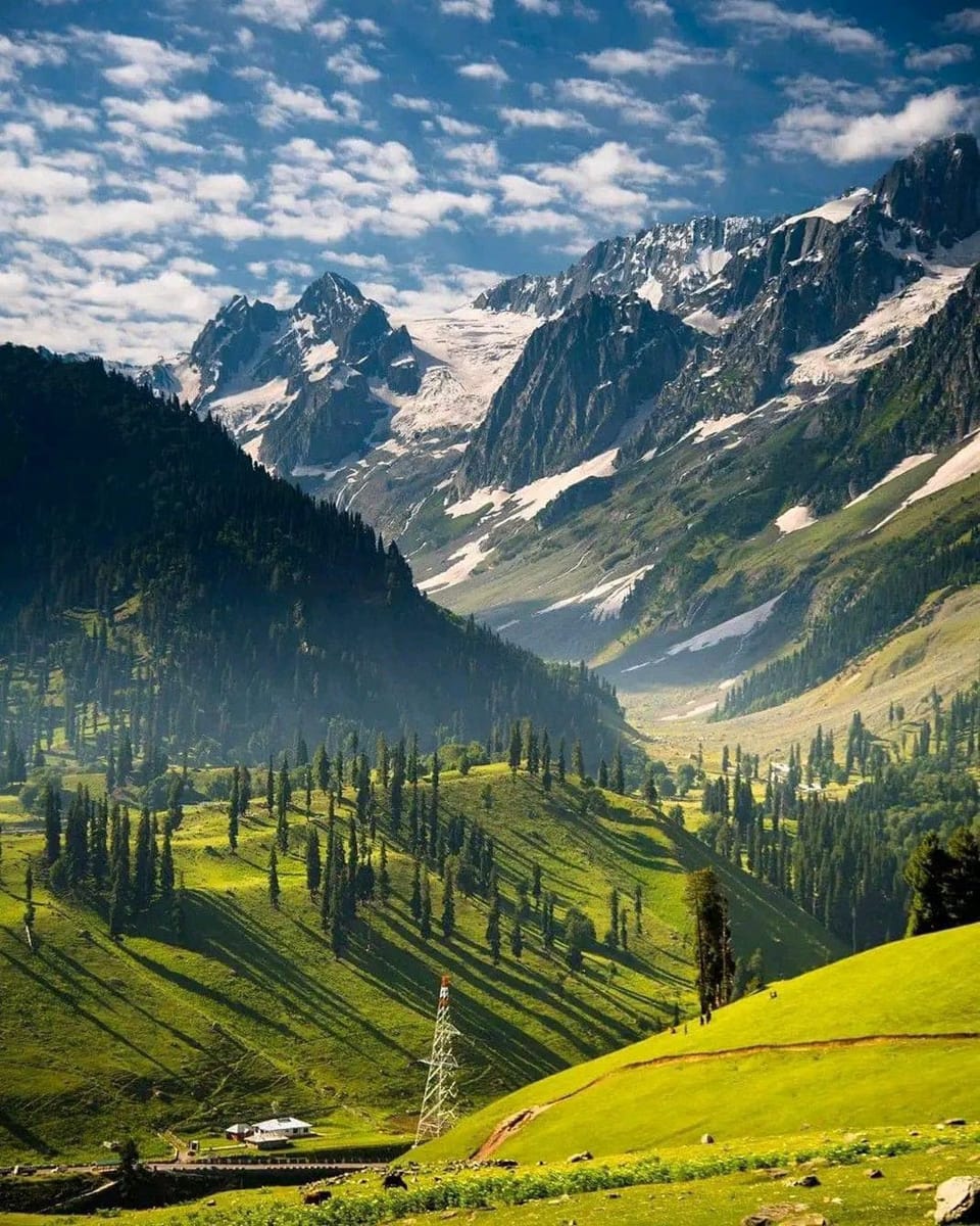 A sunlit green valley framed by steep mountain slopes in Sonamarg.