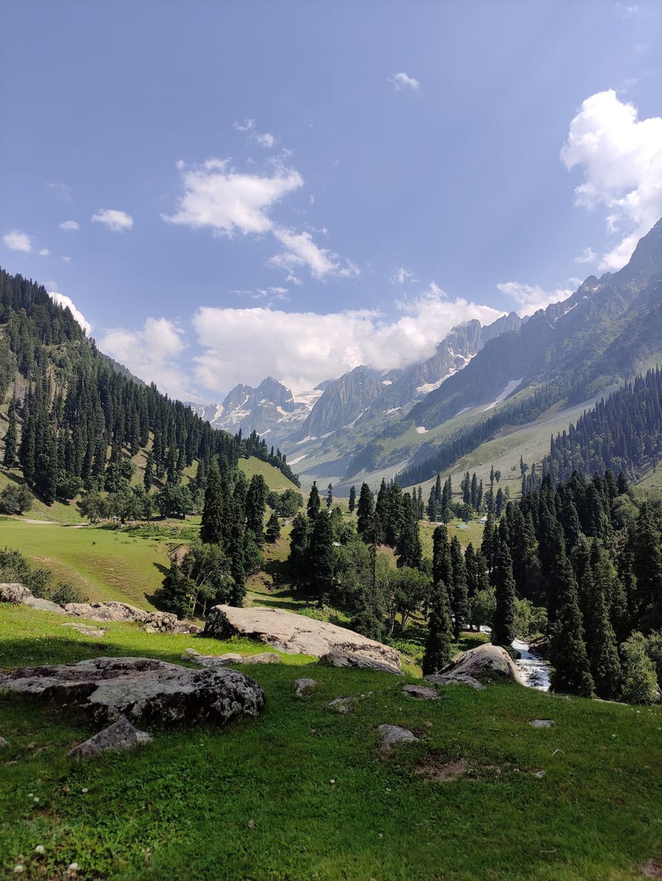 A stream and boulders crossing a mountain valley in Sonamarg.