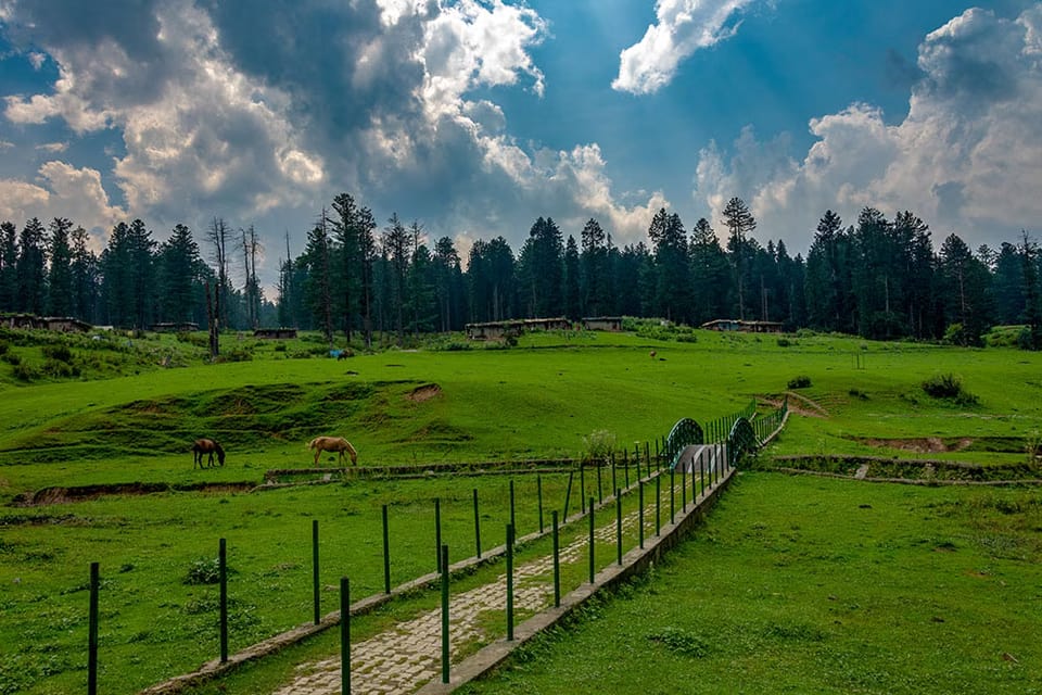 A path and fence leading through a green meadow in Yusmarg.