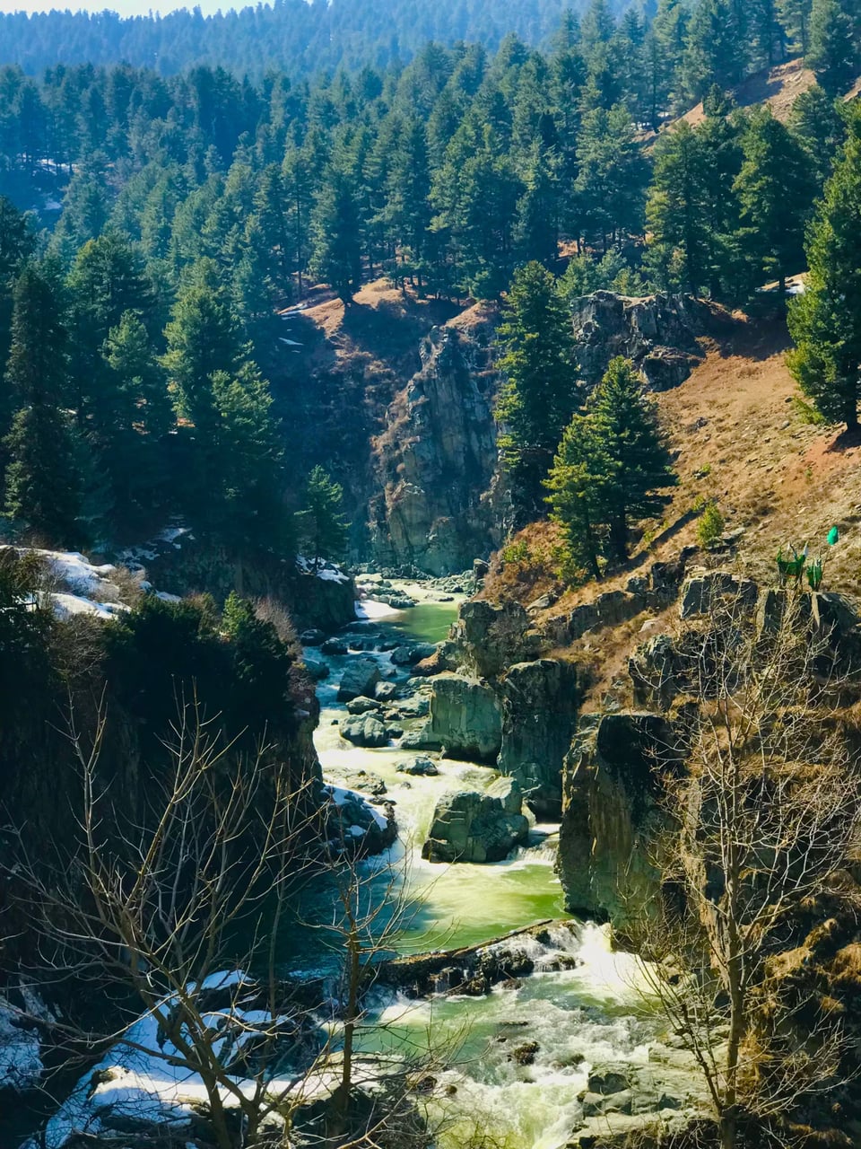 A forest-framed view of the river and falls at Aharbal.