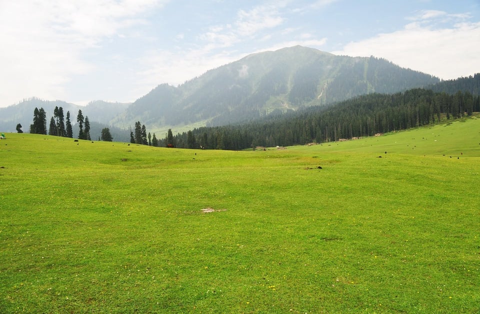 A broad meadow beneath the hills in Doodhpathri.