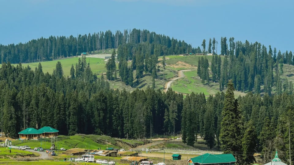 Green hills and tall conifers in Doodhpathri.